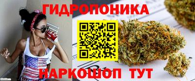 MDMA Тверь